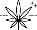 hemp flower silhouette icon