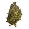 jealousy ESPH strain hybrid indica sativa