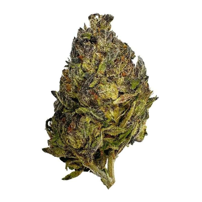 jealousy ESPH strain hybrid indica sativa