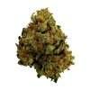 sour diesel ESPH strain hybrid indica sativa