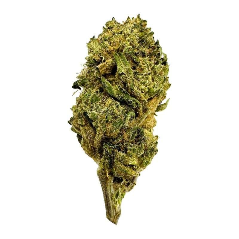 ESPH lambo strain hybrid indica sativa