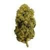 gorilla glue ESPH strain hybrid indica sativa