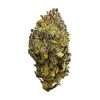 kings candy ESPH strain hybrid indica sativa