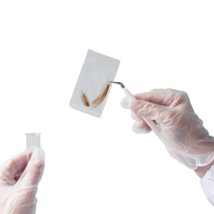 hair THCa drug test - How long does THCa stay in your system