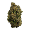 GMO Cookies THCa Hemp ESPH Cannabis
