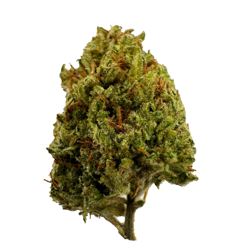 Gelato 41 THCa Hemp ESPH
