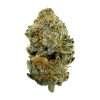tropical punch white lotus strain indica relaxation bud emerald smoke premium hemp