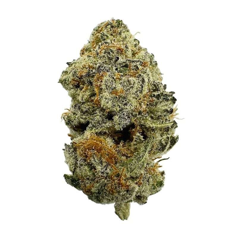 tropical punch white lotus strain indica relaxation bud emerald smoke premium hemp