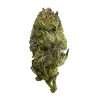 Gelato 33 strain indica relaxation bud emerald smoke premium hemp