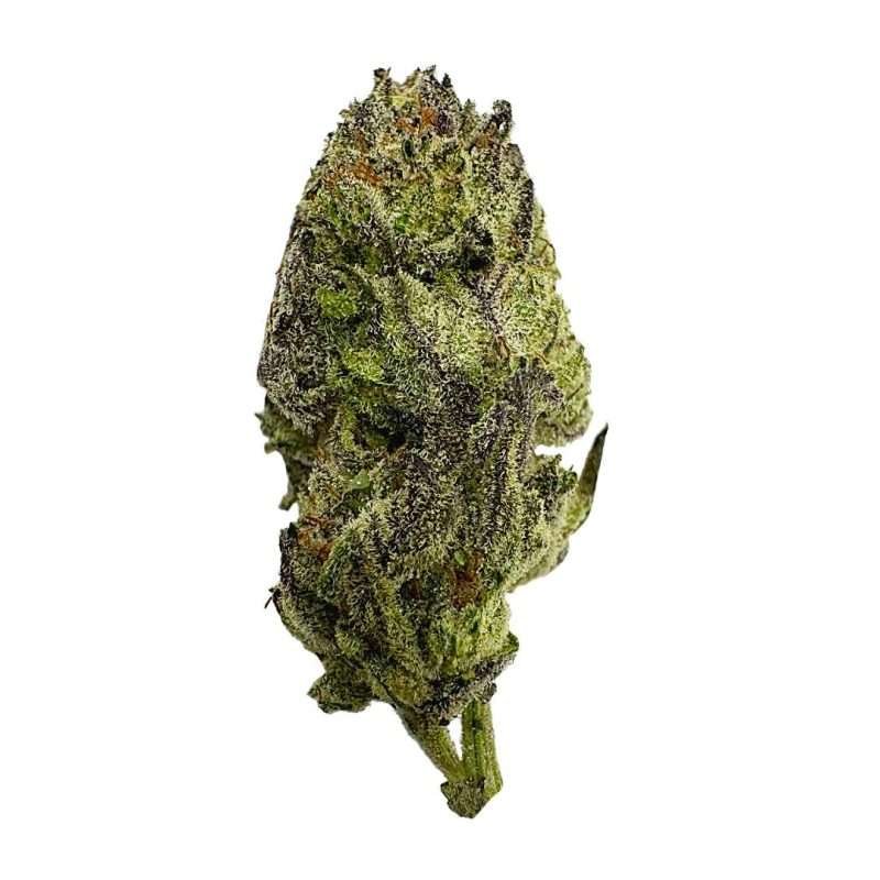 Gelato 33 strain indica relaxation bud emerald smoke premium hemp