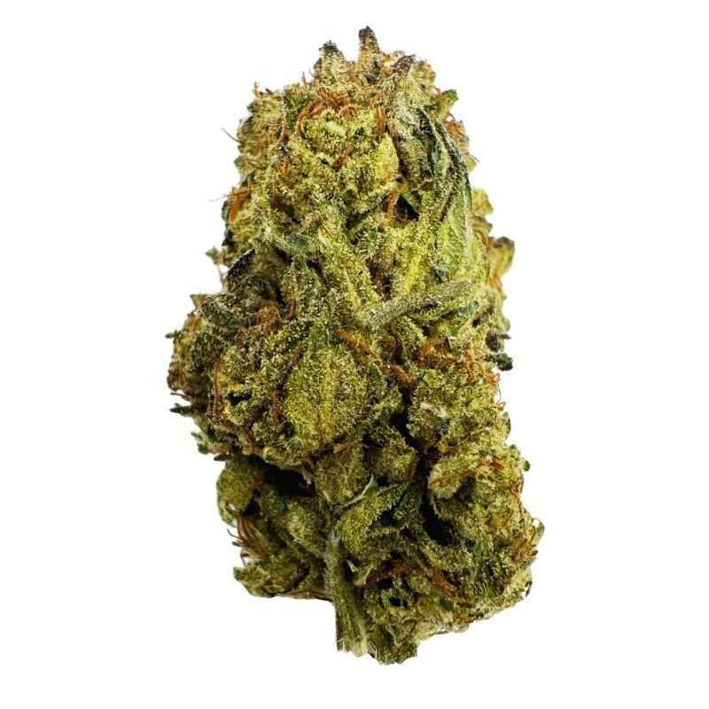 ESPH Trump Runtz Sativa Strain