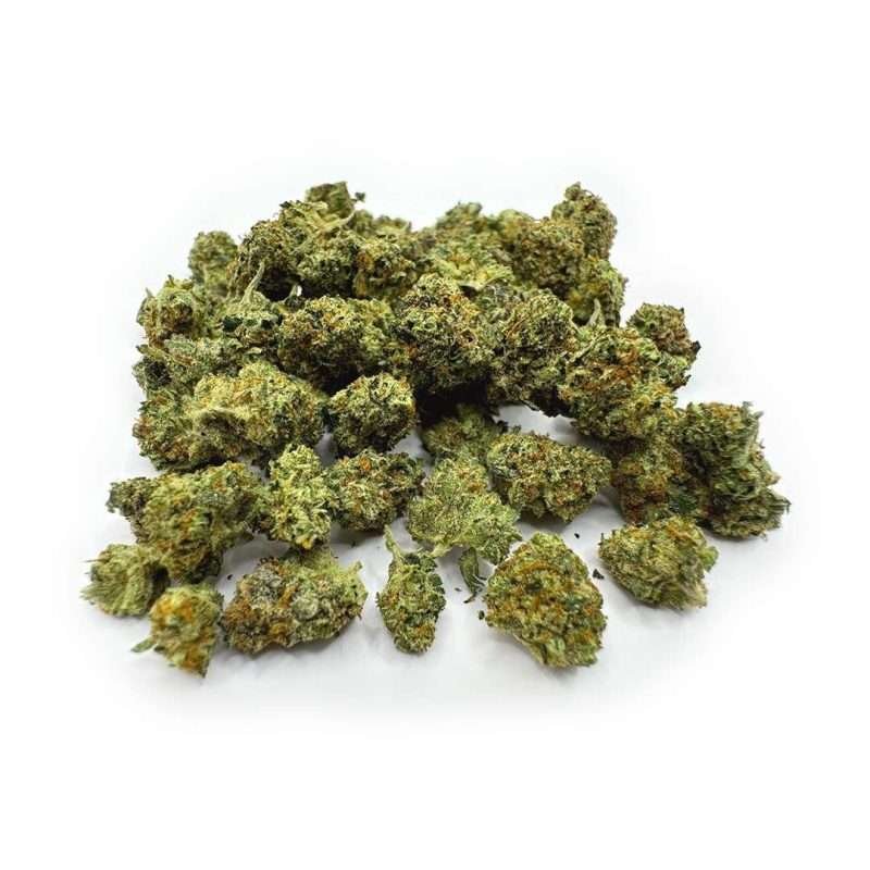 Gelato 41 - Exotic Indoor Smalls - 28g