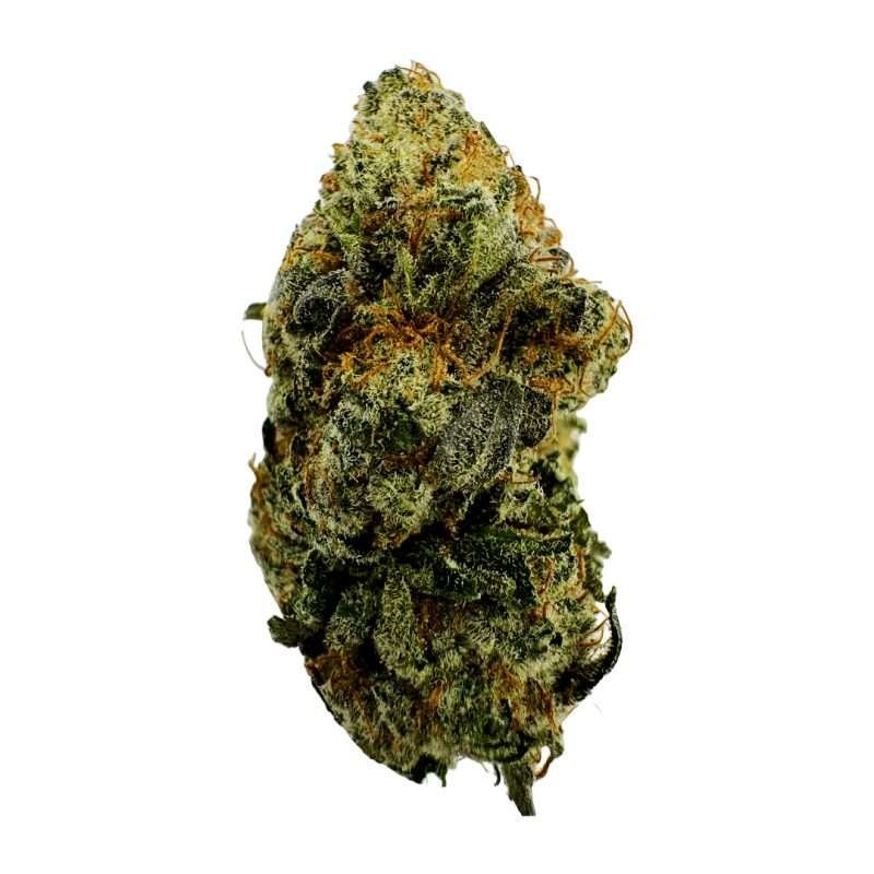 ESPH Indoor Smalls Pure Michigan