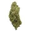 orange crush top shelf indoor strains