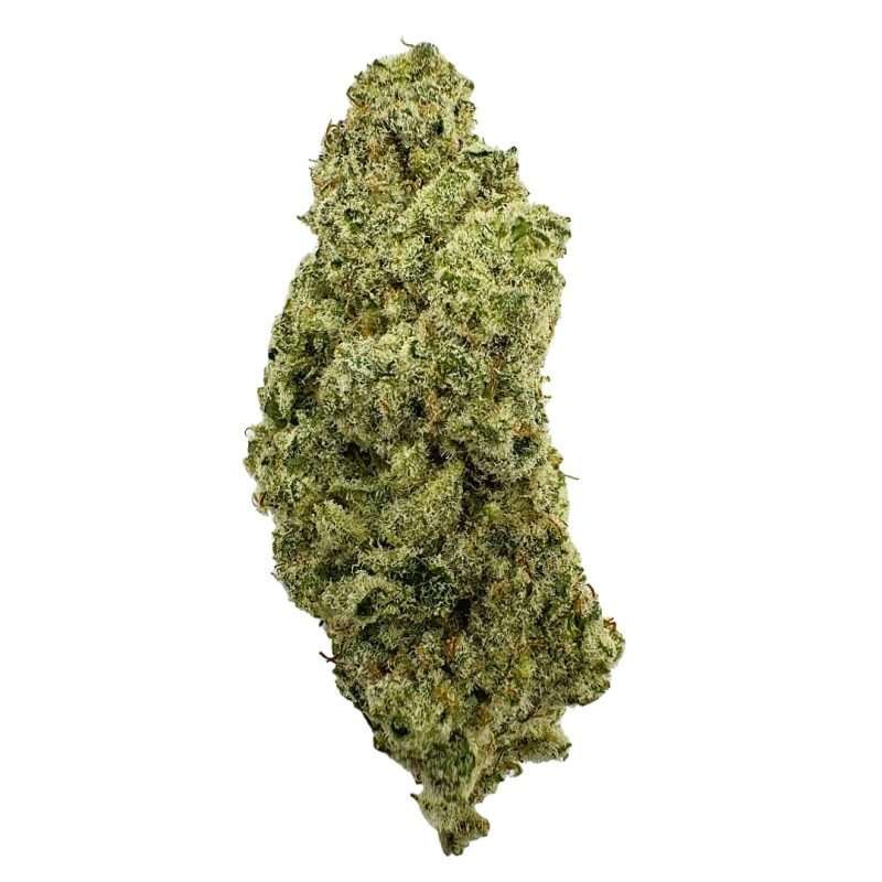 orange crush top shelf indoor strains