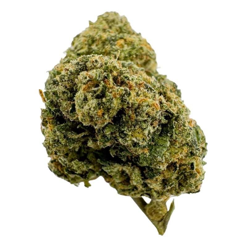 a green bud of hemp black cherry gelato indica strain