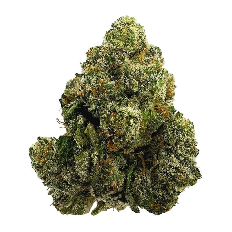 blue smurf strain