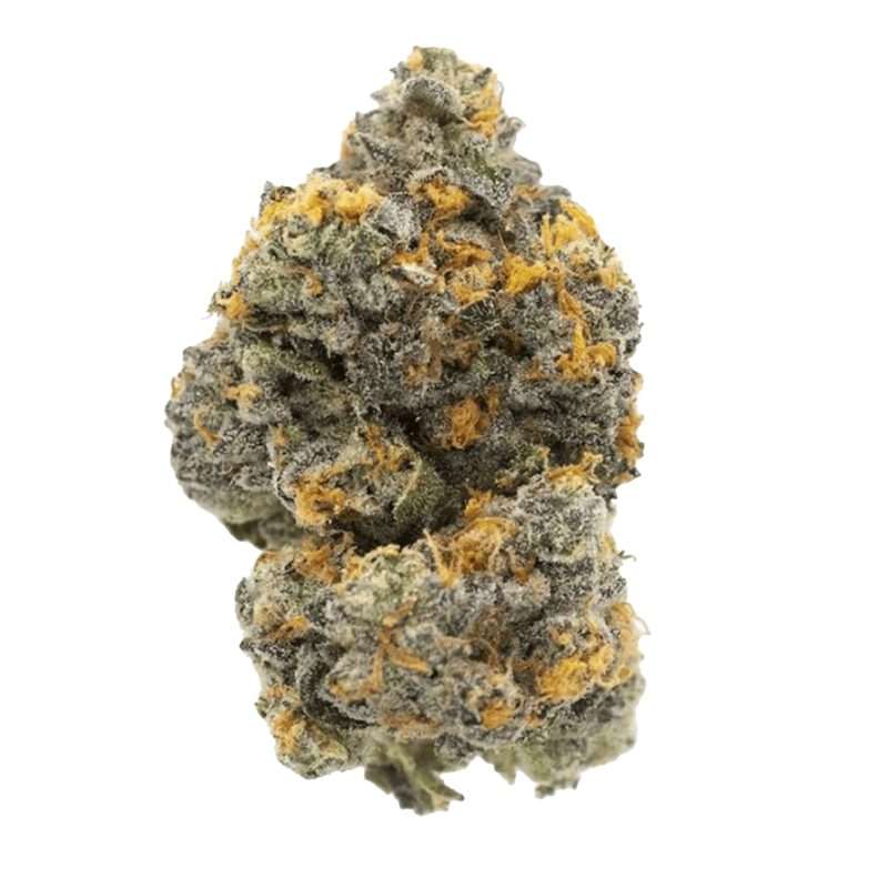 gary runtz payton thca