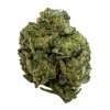 a green bud of hemp gary runtz