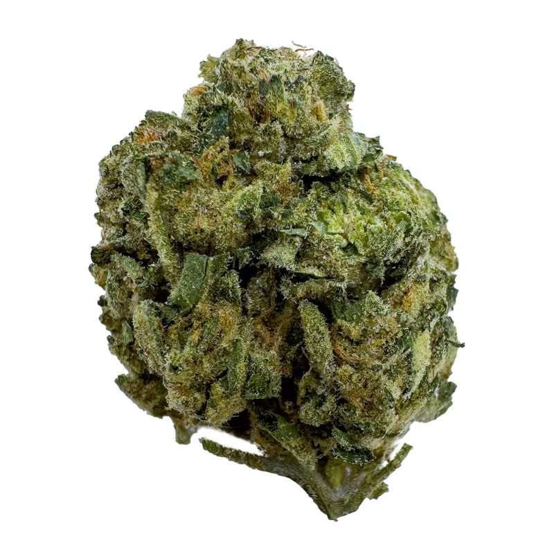 a green bud of hemp gary runtz