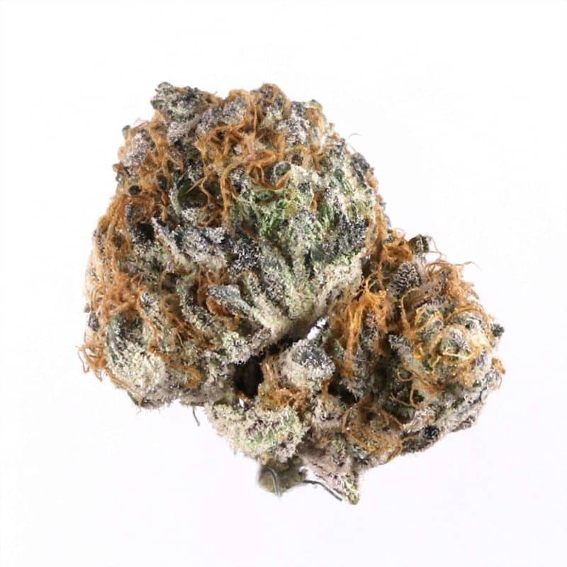 gelatti x thca flower