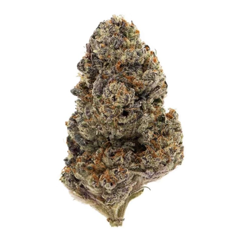 grandiflora guava thca flower