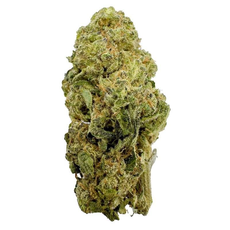 a green bud of high octane strain hemp