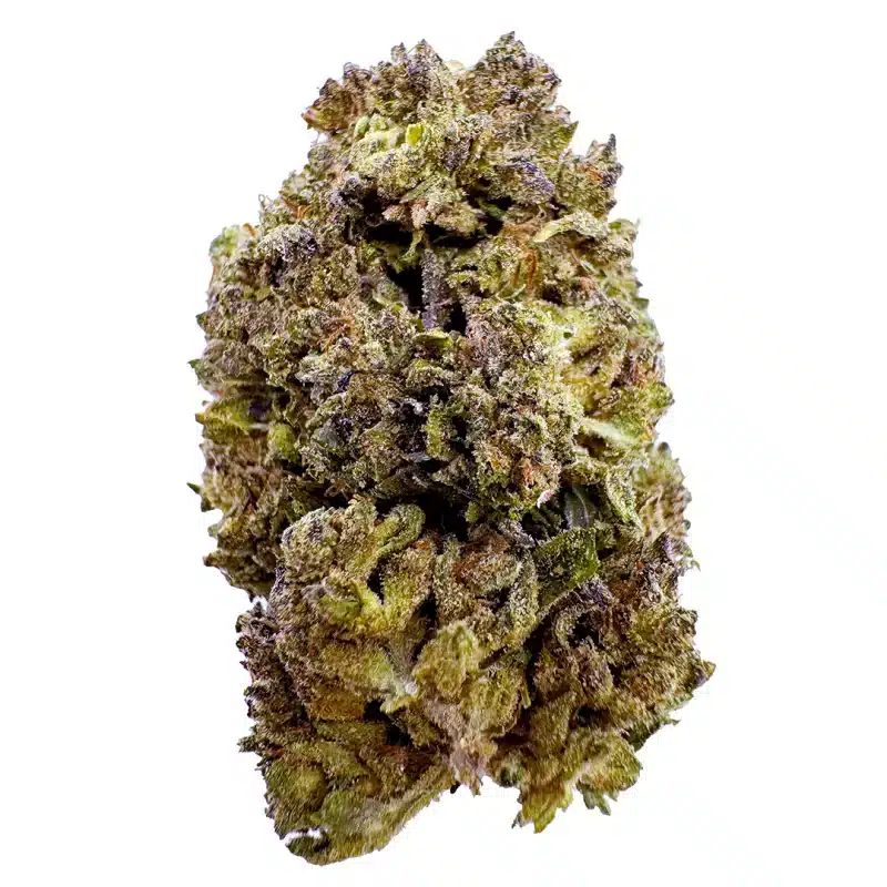 green bud of hemp flower