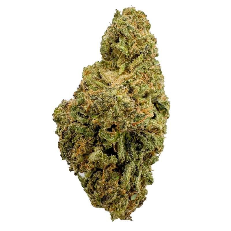 a green bud of marijuana honey mintz