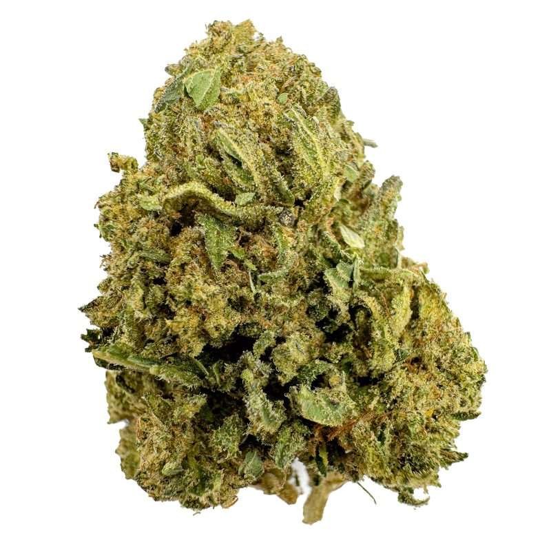 a green bud of thca flower lemon cereal bomb strain
