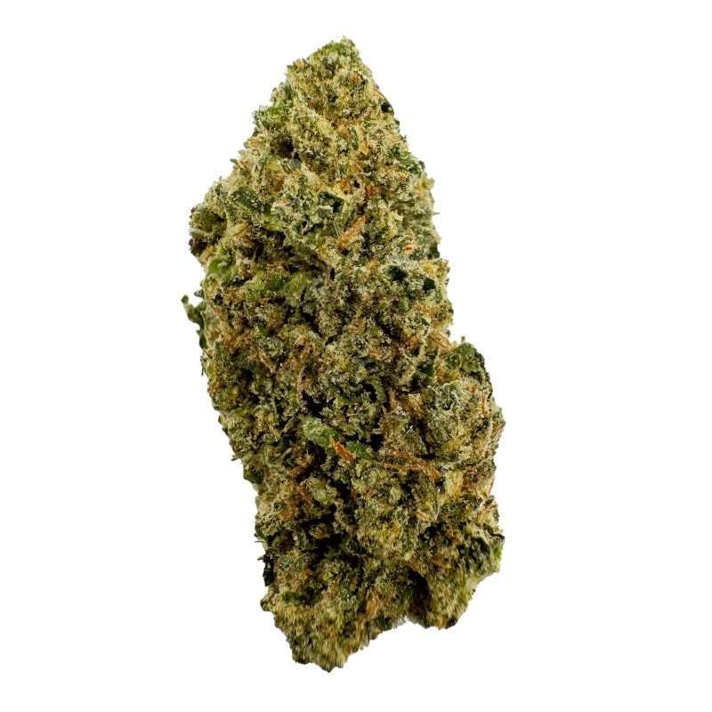 a green bud of hemp thca flower modified grapes