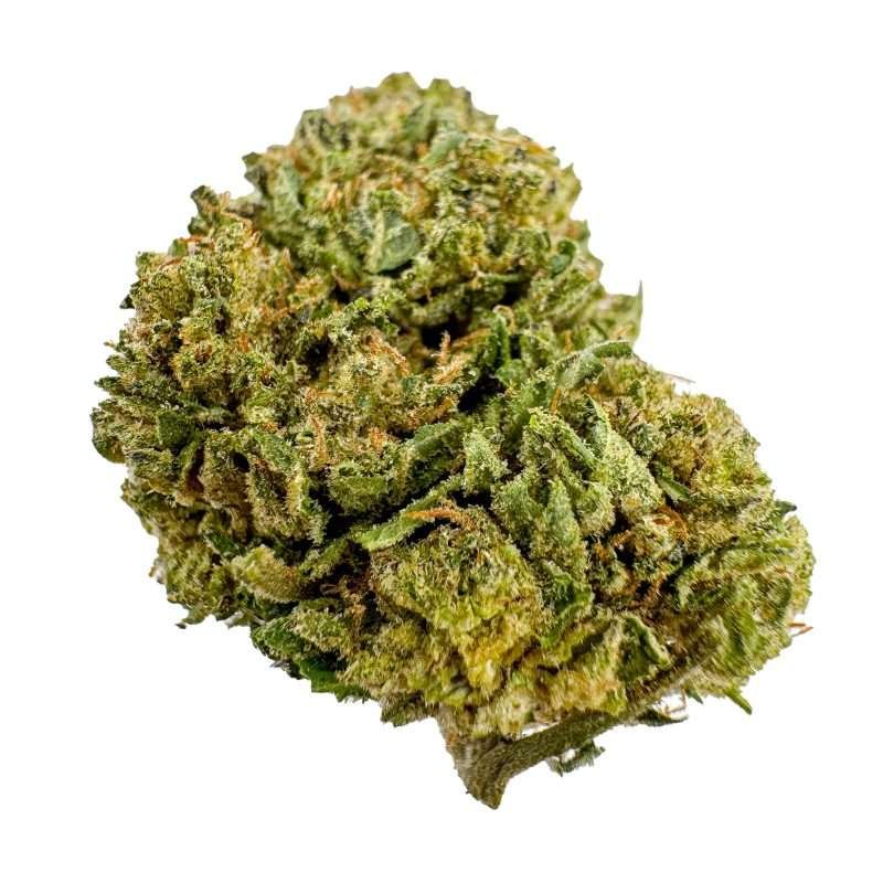a green bud of hemp purp driver