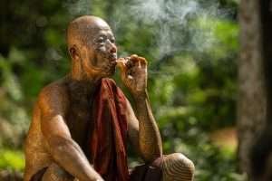 Elevate Your Meditation: How THCa Enhances Mindfulness with Hemp