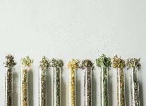 Where Did Different Strains Originate From