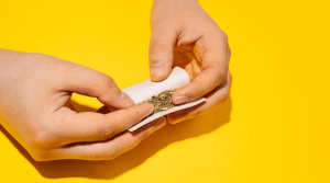 How to Roll the Perfect Joint: A Step-by-Step Guide for Beginners