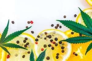 What Terpenes Are and How They Affect Flavor and Effects