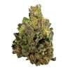 a green and purple bud of hemp flower