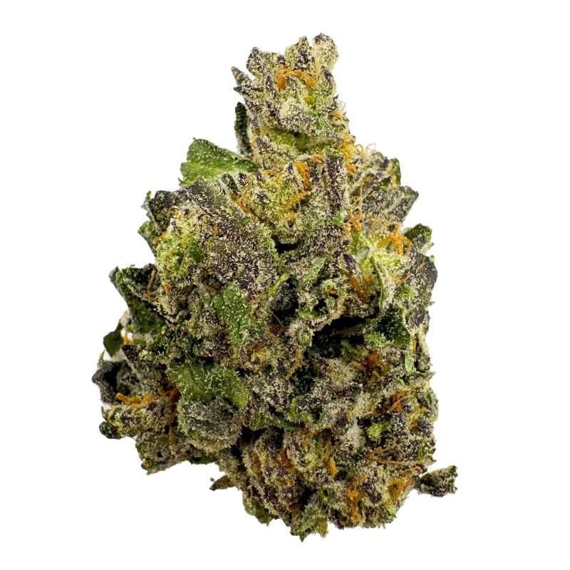a green and purple bud of hemp flower