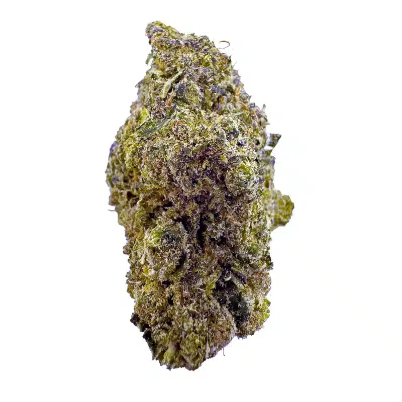 indoor bud of hemp flower