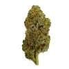 a bud of indoor thca flower marijuana