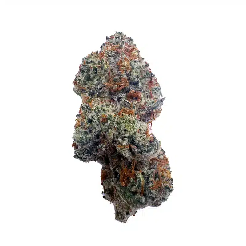 a bud of exotic indoor thca flower strain