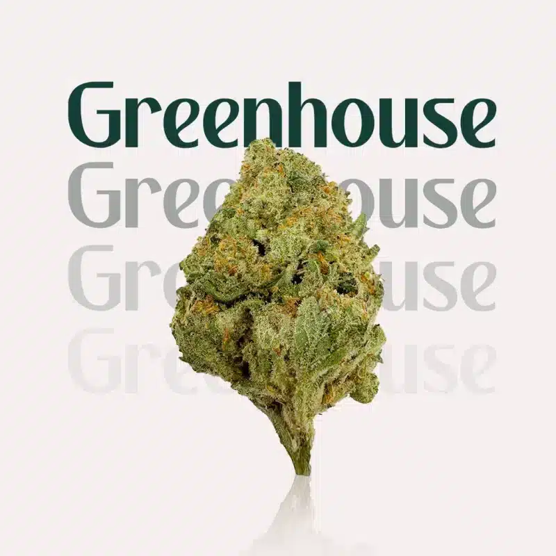 Greenhouse