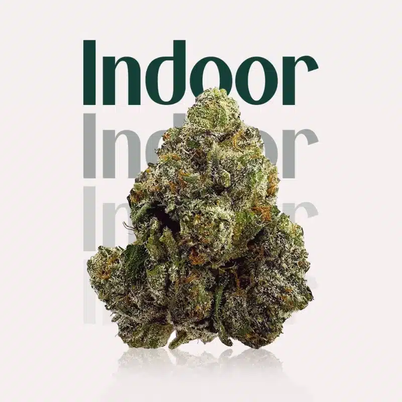 Indoor