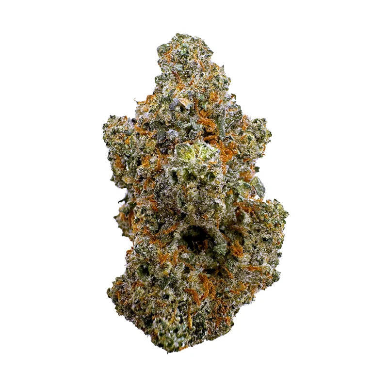 a close up photo of indoor bud of hemp flower alaskan thunder fuck strain