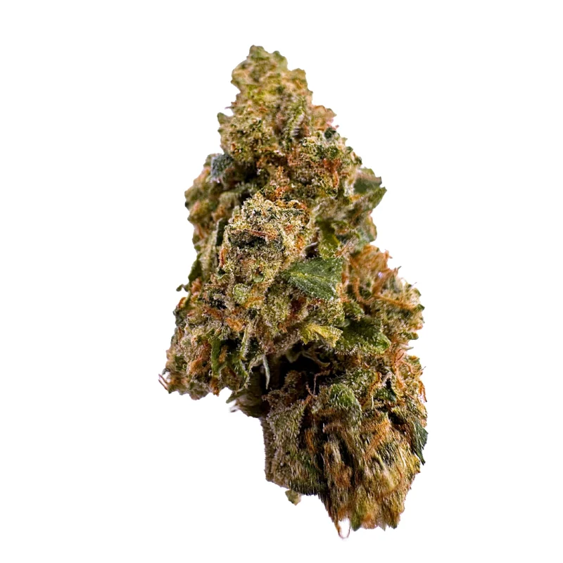 a close up photo of indoor bud of hemp flower citrus sap strain