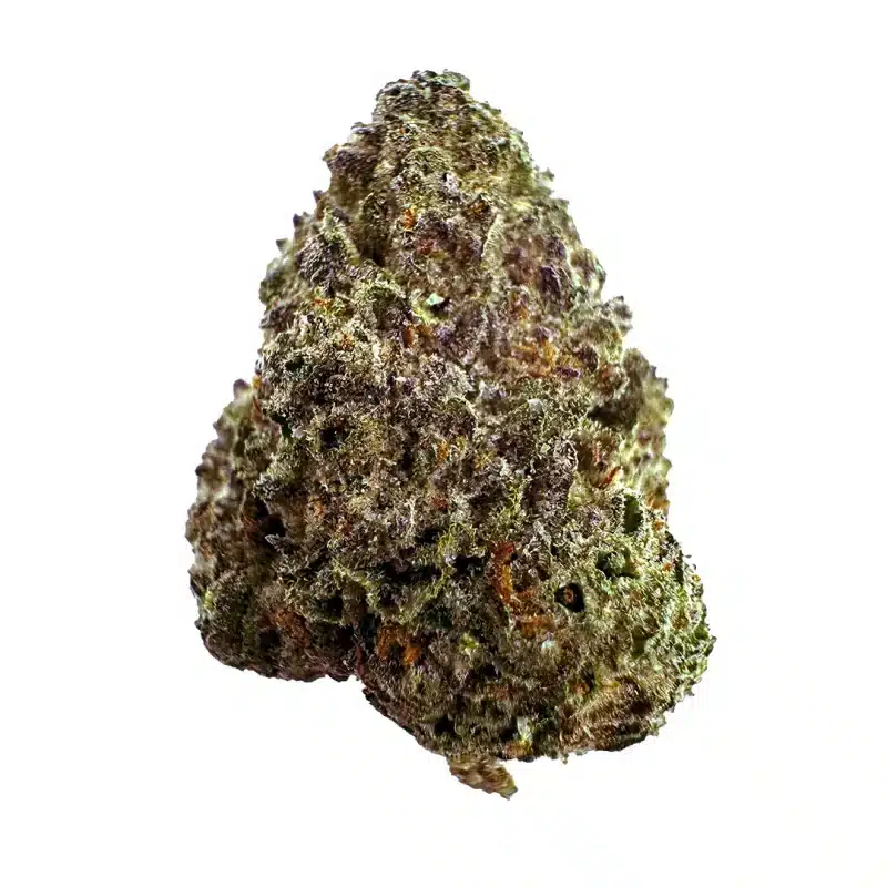 a close up photo of indoor bud of hemp flower colombian gold strain