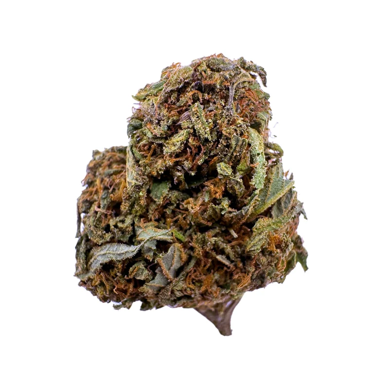 a close up photo of indoor bud of hemp flower garlicane strain