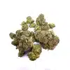 king og strain with a close up of small buds
