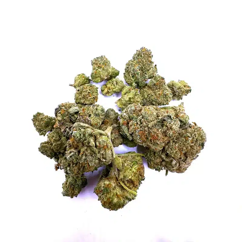 king og strain with a close up of small buds