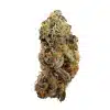 a close up photo of indoor bud of hemp flower